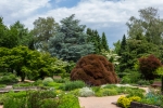 Botanischer Garten Linz