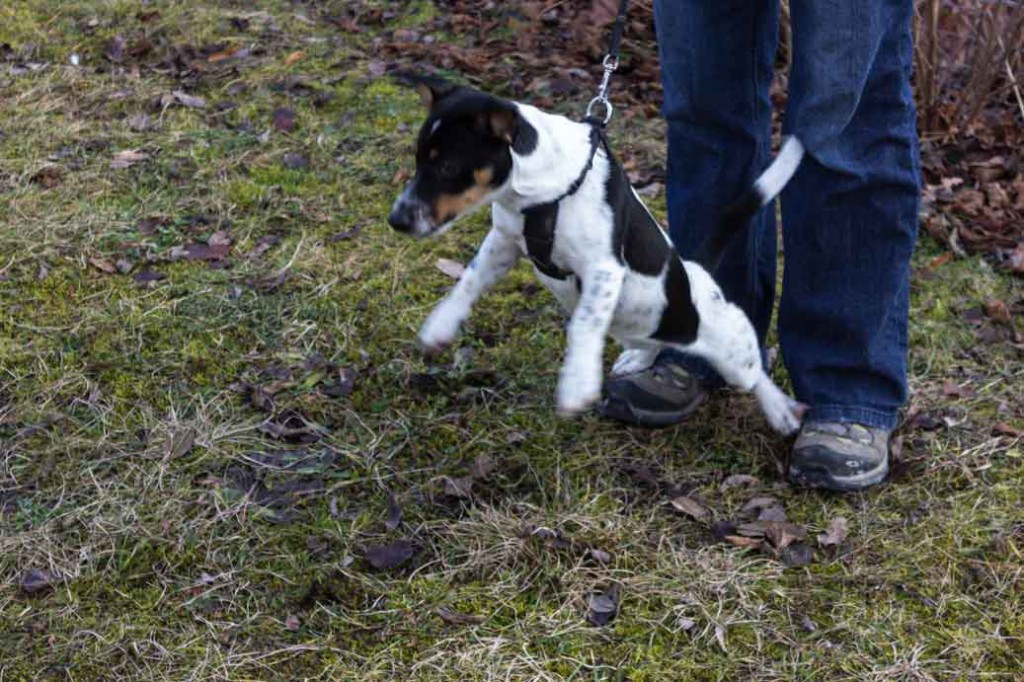Bewertungsmöglichkeiten & Paula